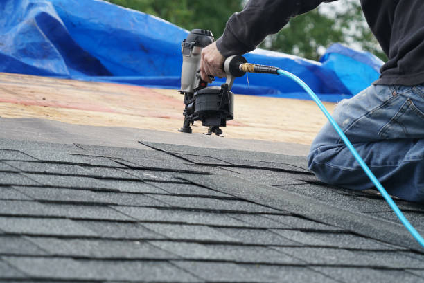 Best Chimney Flashing Repair  in Lagrange, GA