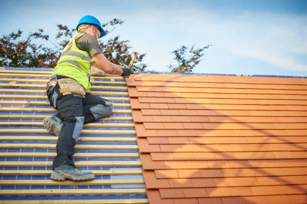 Best Gutter Installation and Repair  in Lagrange, GA