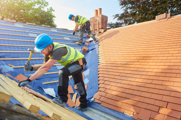 Best Roof Ventilation Installation  in Lagrange, GA